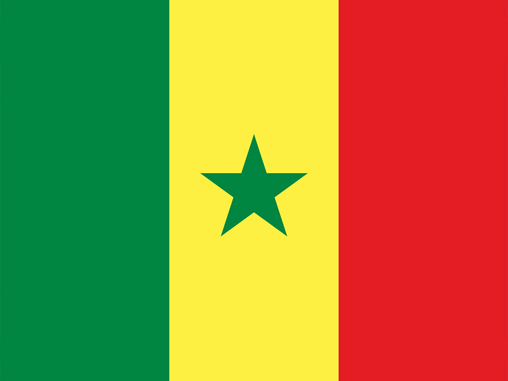 Senegal Flagge 001