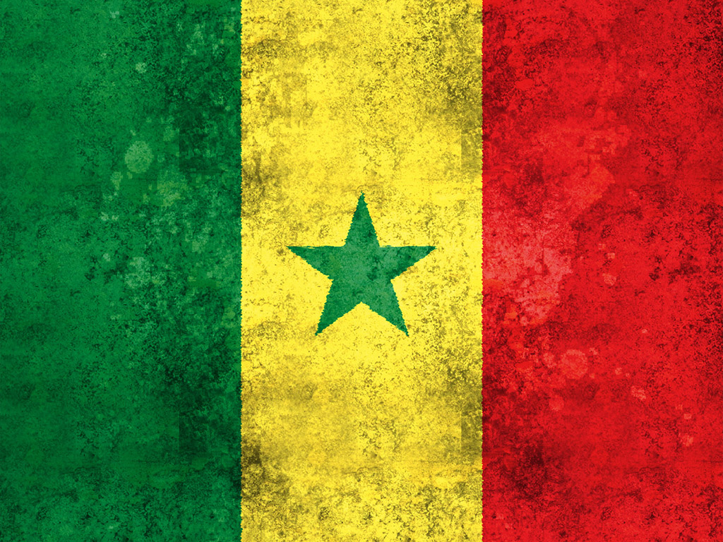 Senegal Flagge 004