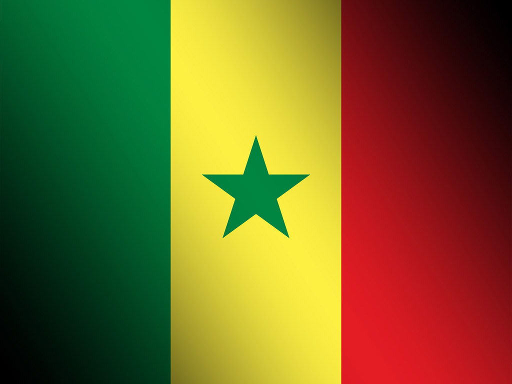 Senegal Flagge 005