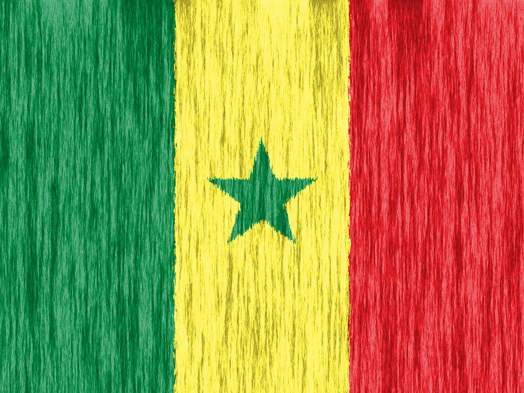Senegal Flagge 008