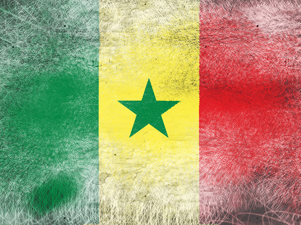 Senegal Flagge 012
