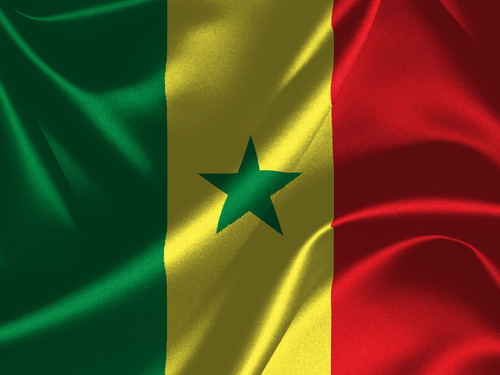 Senegal Flagge 014