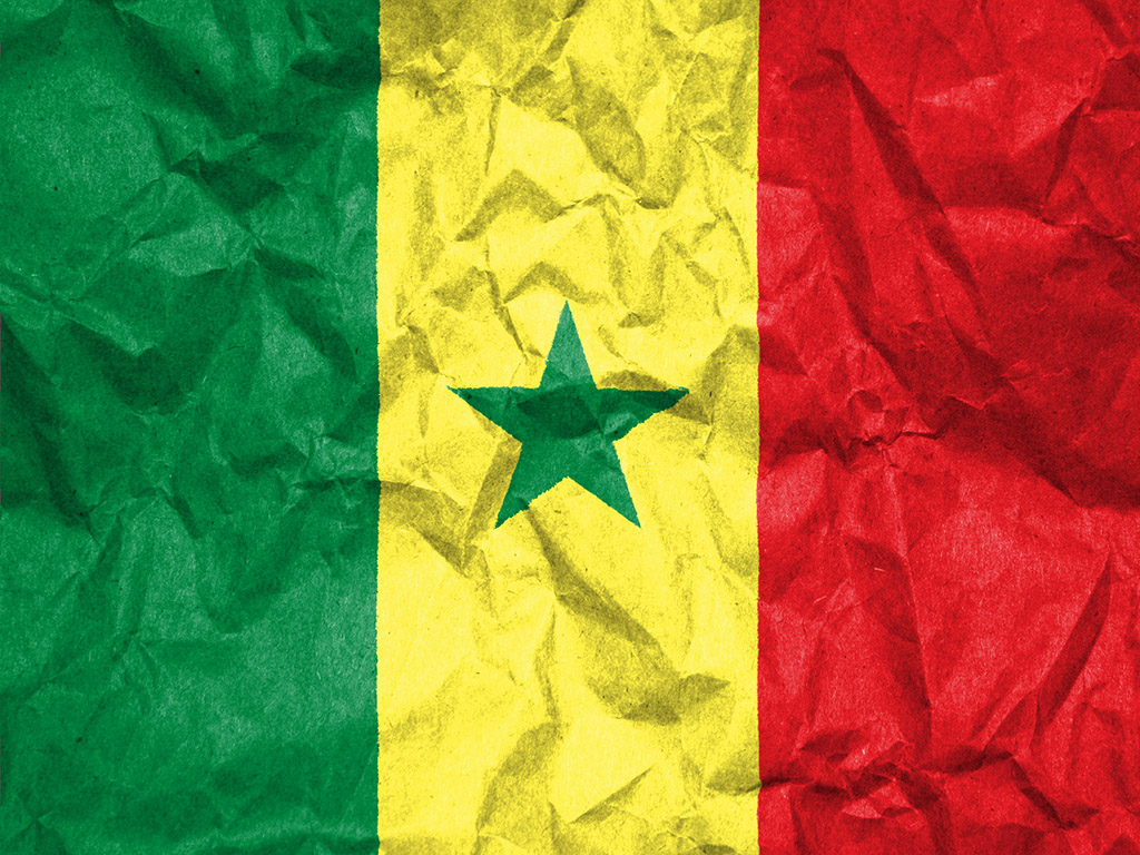Senegal Flagge 019