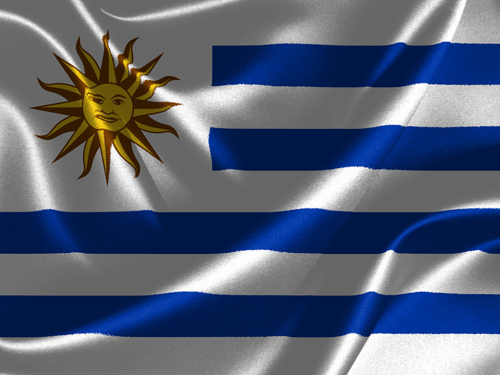 Fahne Uruguays - Uruguay Flagge