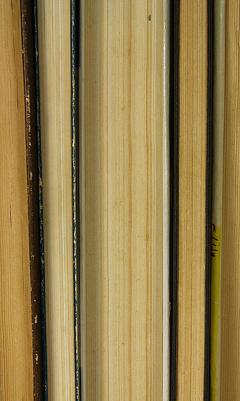 Alte Bücher.005