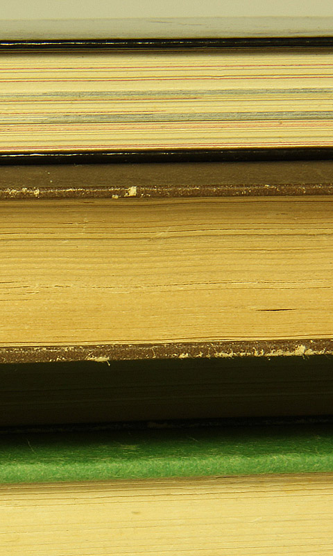 Alte Bücher.010