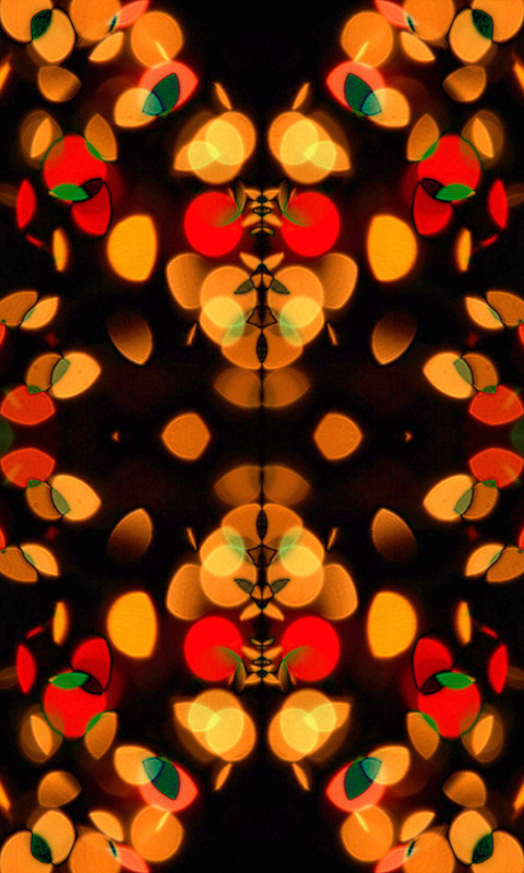 Bunte Lichte.007