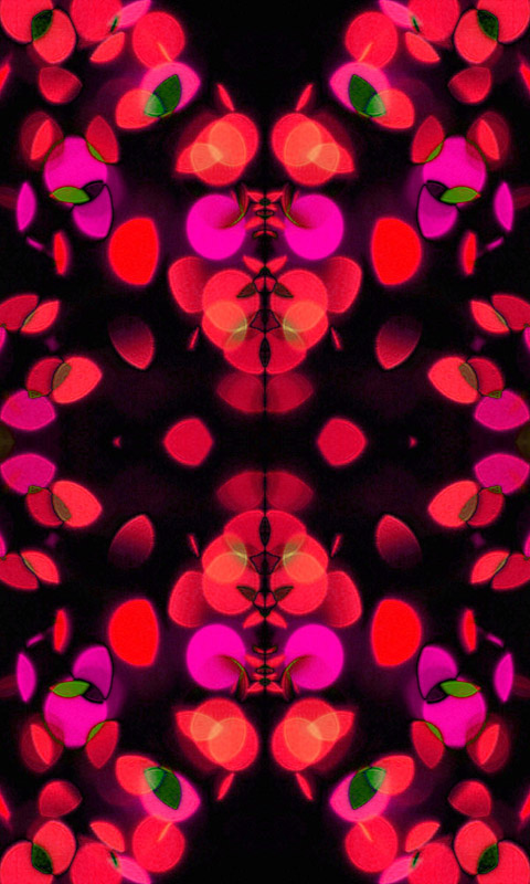 Bunte Lichte.010