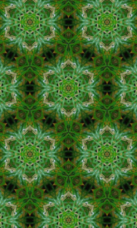 Kaleidoskop