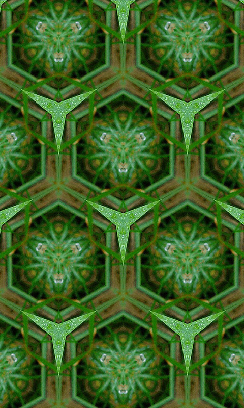 Kaleidoskop.014