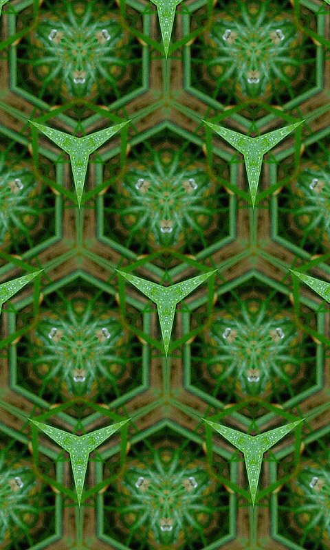 Handy Hintergrundbild: Kaleidoskop