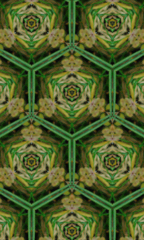 Kaleidoskop.015