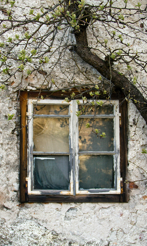 Handy Hintergrundbild: Fenster