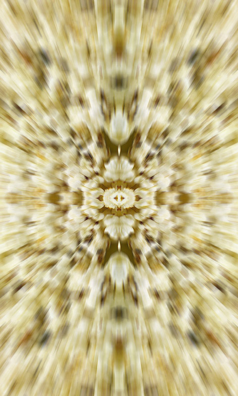 Popcorn.007