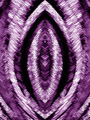Lila.001