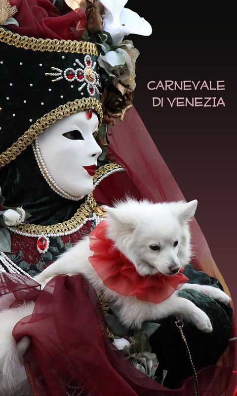 Karneval in Venedig.020