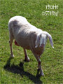 Frohe Ostern!.009