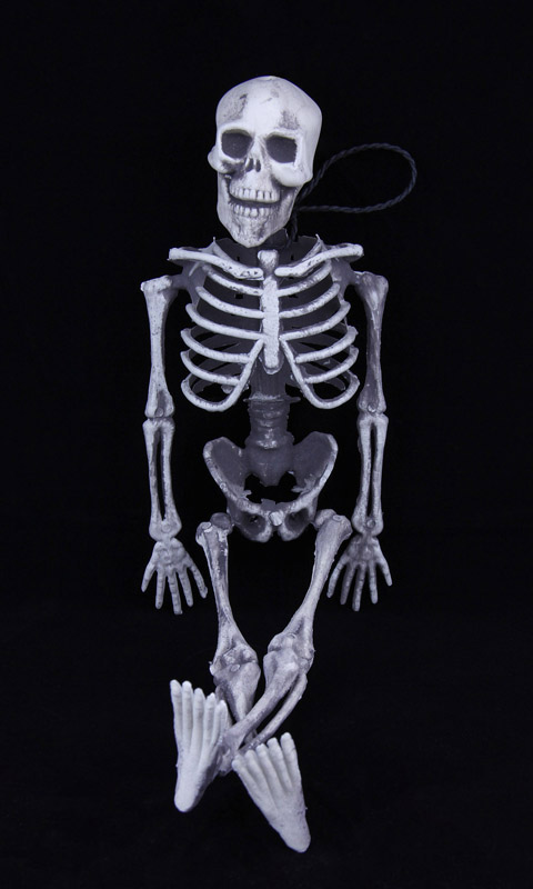 Skelett.001
