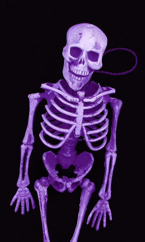Skelett.004