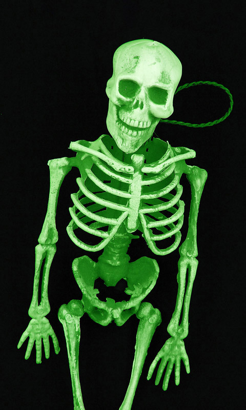 Skelett.005