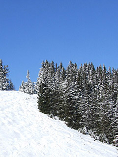 Winter in den Alpen, Schnee - Handy Hintergrundbild