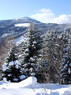 Winter in den Alpen, Schnee - Handy Hintergrundbild