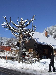 Winter in den Alpen, Schnee - Handy Hintergrundbild