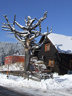 Winter in den Alpen, Schnee - Handy Hintergrundbild