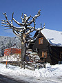 Winter in den Alpen.116