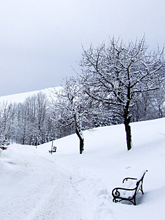 Winter in den Alpen, Schnee - Handy Hintergrundbild