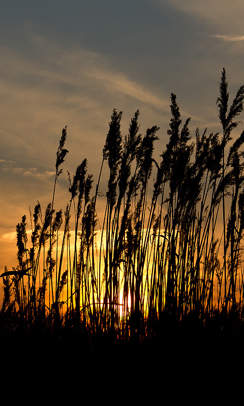 Sonnenuntergang.904