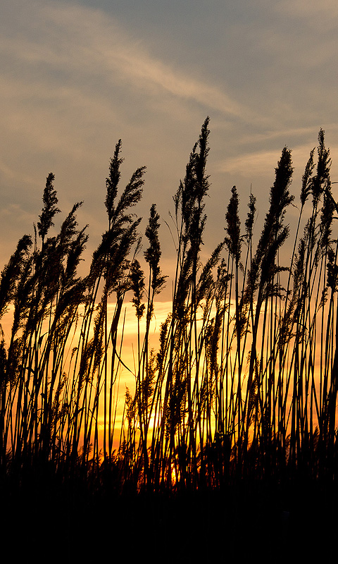 Sonnenuntergang