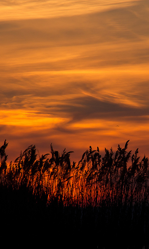 Sonnenuntergang