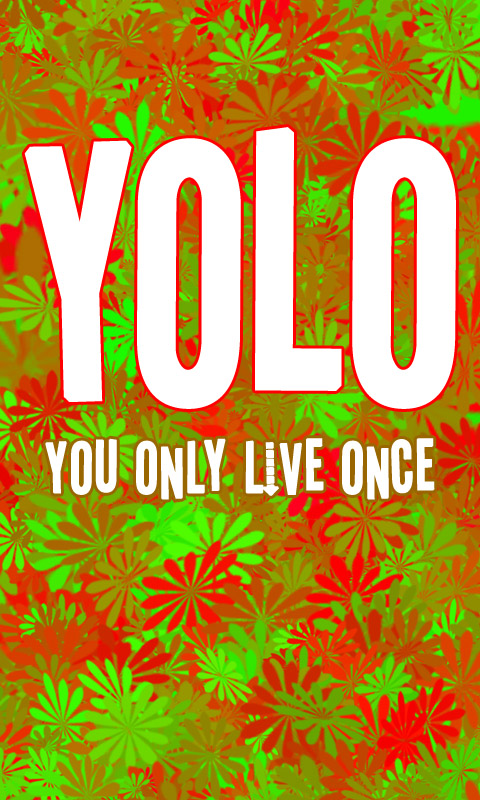 YOLO - You only live once - Du lebst nur einmal