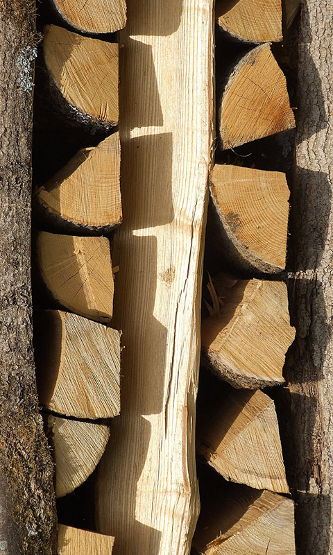 Holz.006