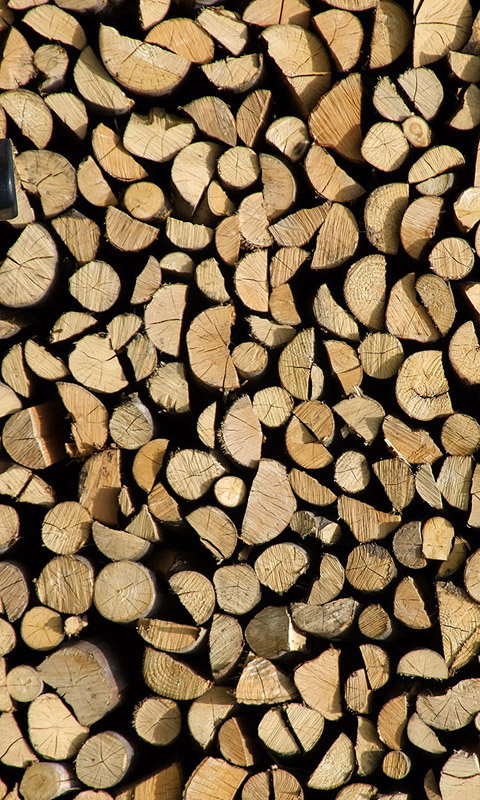 Holz.012