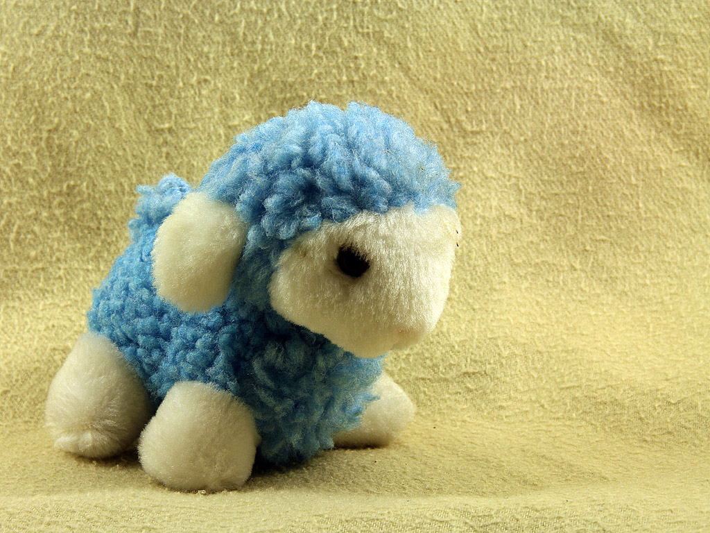 Plüschtier: Blaues Schaf - Hintergrundbild kostenlos