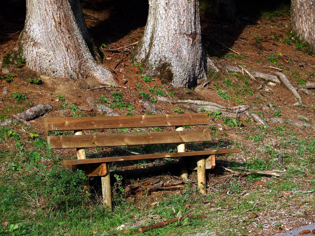 Sitzbank im Wald - Hintergrundbild kostenlos