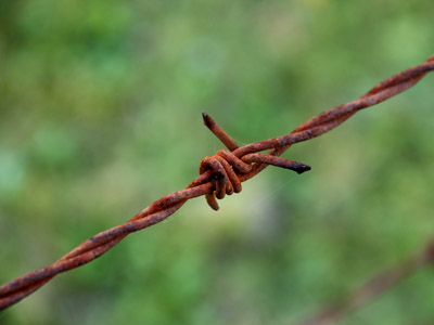 Stacheldraht