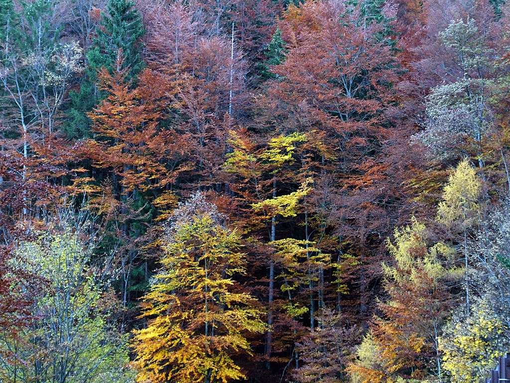 Herbst in den Alpen