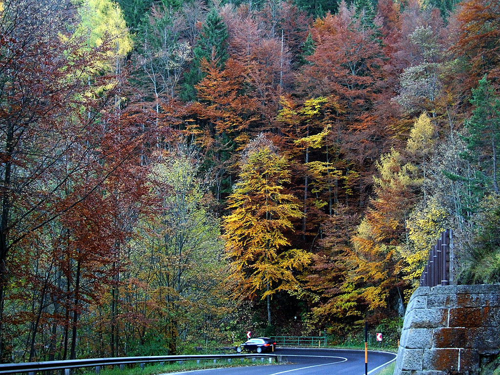 Herbst in den Alpen