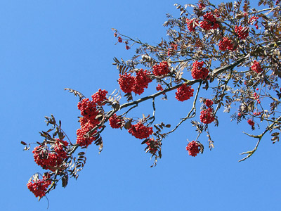 Herbst in den Alpen