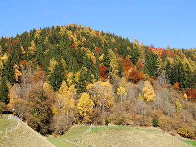 Herbst in den Alpen