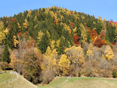 Herbst in den Alpen