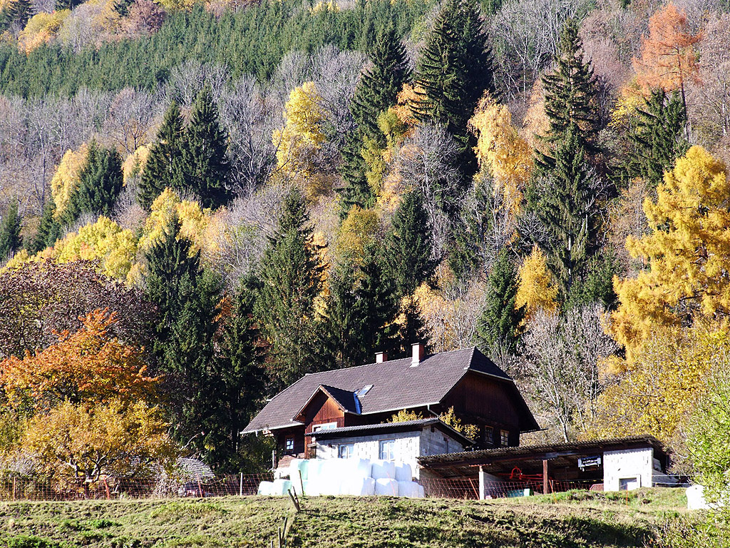 Herbst in den Alpen