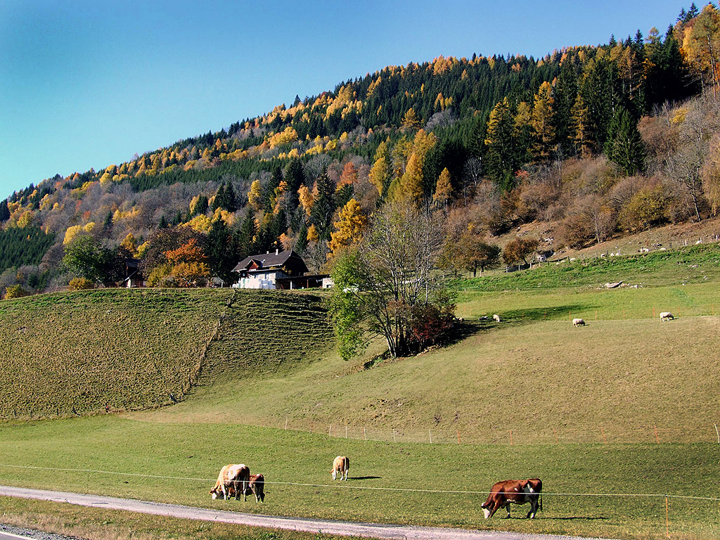 Herbst in den Alpen #013