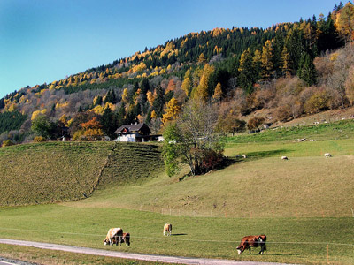 Herbst in den Alpen