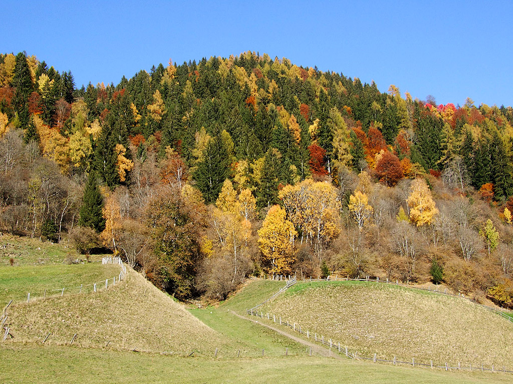 Herbst in den Alpen