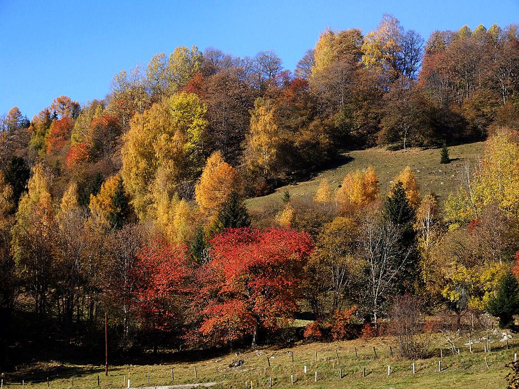 Herbst in den Alpen