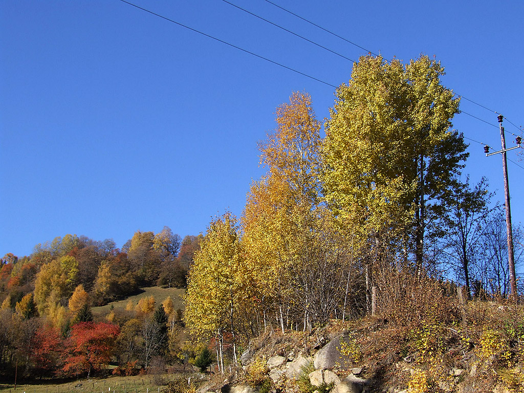 Herbst in den Alpen